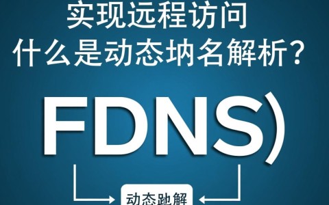 群晖动态域名解析如何操作？有哪些注意事项？