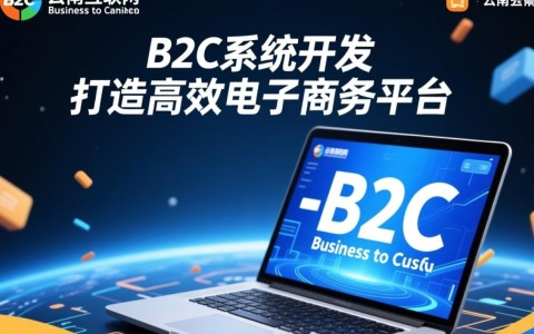 云南b2c系统开发，如何选择合适的技术与平台，实现高效电子商务运营？