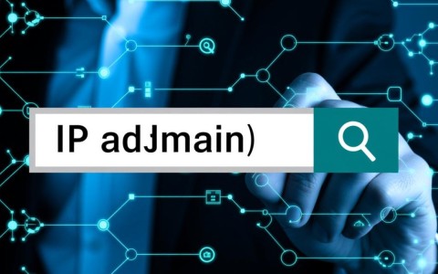 如何查看一个域名的IP地址？揭秘高效查询方法！