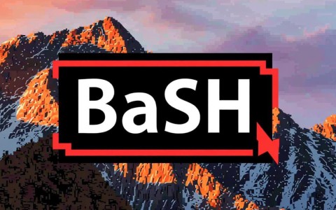 mac bash配置中，有哪些关键步骤和常见问题需要注意？