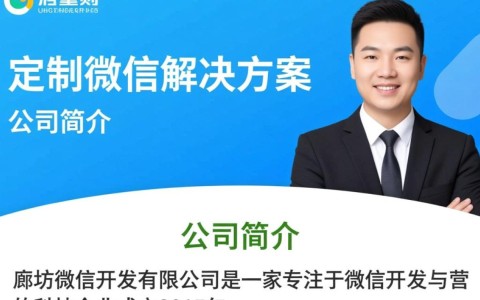 廊坊微信开发有限公司的盈利模式及核心竞争力是什么？