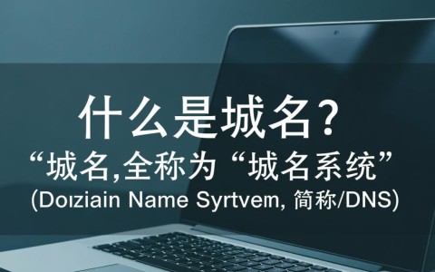 请输入域名是什么意思？解析域名输入的真正含义与用途。