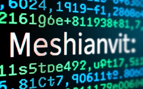 新申请域名使用步骤详解，如何快速上手我的新域名？