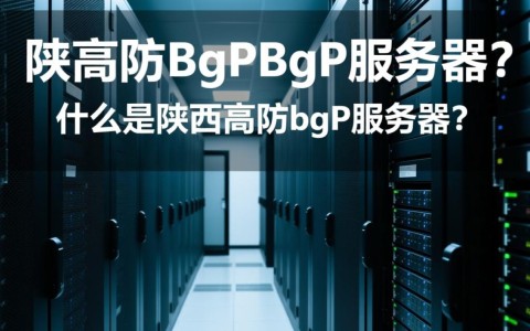陕西高防bgp服务器为何成为企业首选？揭秘其优势与配置细节？