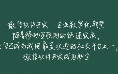 邢台微信软件开发商家，哪家提供定制化服务更专业，性价比更高？