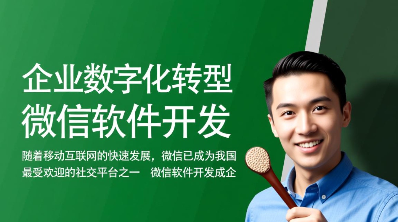 邢台微信软件开发商家，哪家提供定制化服务更专业，性价比更高？