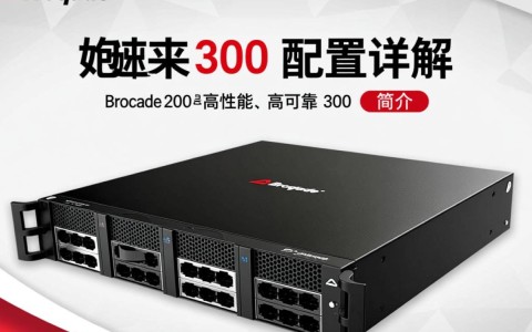 brocade 300 配置详解，有哪些关键设置和疑问点？