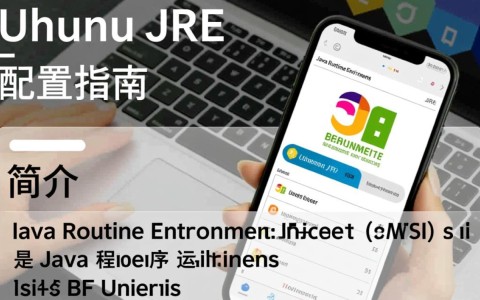 Ubuntu JRE配置过程中遇到了哪些常见问题？