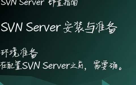SVN服务器配置过程中，有哪些关键步骤和注意事项？