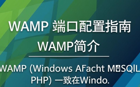 WAMP环境配置中，端口80和443如何正确设置，避免冲突问题？
