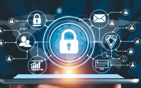 应用可信域名使用必要性探讨，为何每个应用都需遵循这一规定？