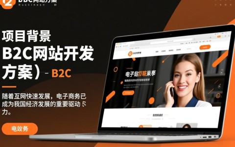 B2C网站开发方案，如何打造高效、用户体验佳的电子商务平台？