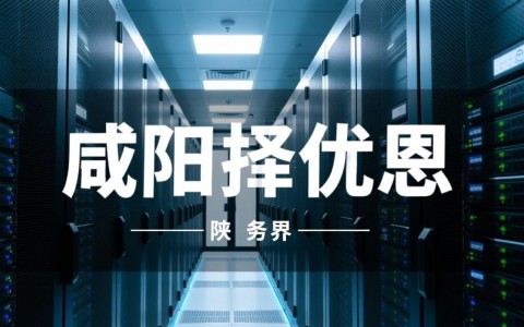 咸阳服务器托管优势何在？为何备受企业青睐？