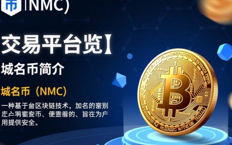域名币NMC交易平台为何在加密货币市场中备受关注？