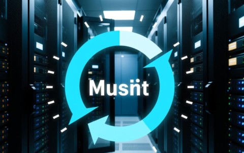 服务器访问延时高是什么原因导致的？