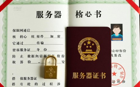 服务器证书怎么搭建？详细步骤和注意事项是什么？