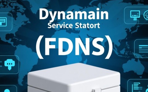 动态域名服务状态如何？频繁变动是否影响使用体验？