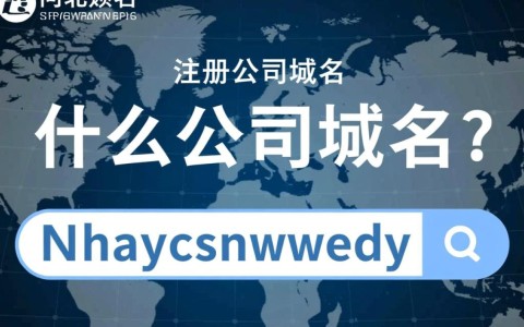 河北省注册公司域名时，有哪些注意事项和限制条件？