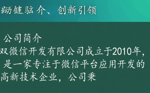 双微信开发有限公司为何在业界独树一帜，双微信功能有何独特之处？