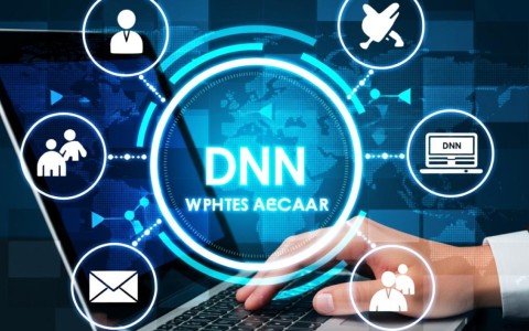 dnn根域名解析失败？原因排查与解决方案揭秘！