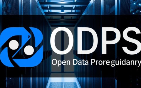 服务器访问odps需要配置哪些权限和参数？