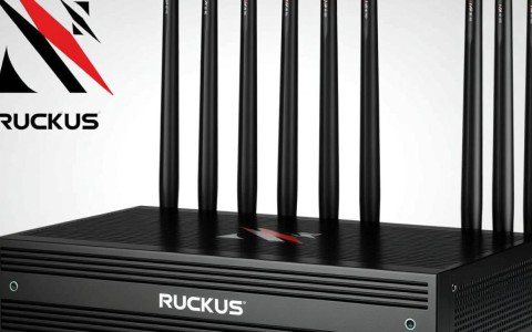 Ruckus配置手册中，有哪些关键步骤或技巧容易被忽视？