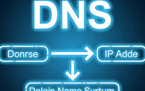 域名解析系统究竟是如何将域名转化为IP地址的？