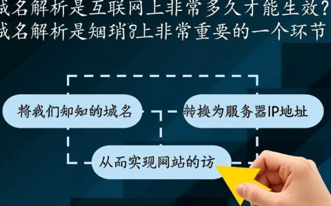 域名解析生效时间是多少？不同情况下的解析速度大揭秘！