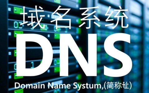 域名系统DS记录格式是怎样的？详解其具体构成和应用规范