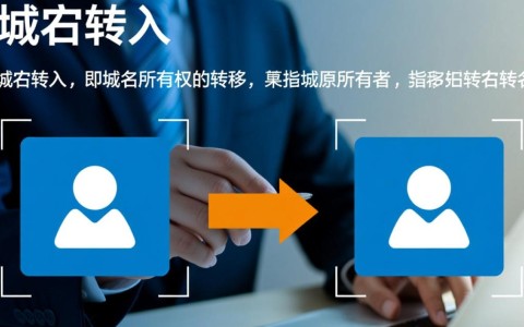 企业域名转入背后的必要性与潜在风险解析