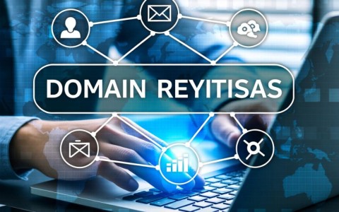 如何准确查询并获取特定域名的详细解析地址信息？