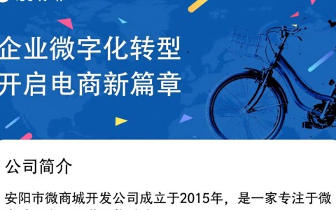 安阳市微商城开发公司，哪家企业值得信赖，如何选择？