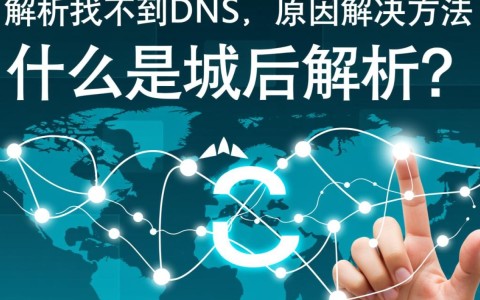 域名解析失败，找不到DNS设置问题出在哪？如何快速解决？