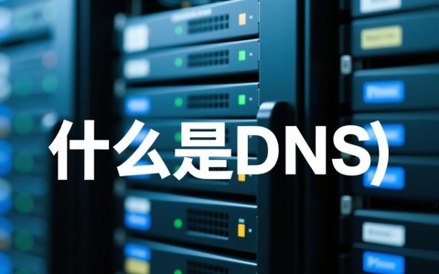 DNS的英文缩写究竟是什么？揭秘域名系统背后的秘密！