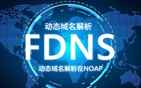 noip动态域名解析如何实现与优化，避免中断及延迟问题？