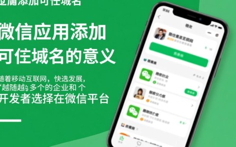 微信应用添加可信域名，这一举措是否意味着隐私安全将得到更大保障？