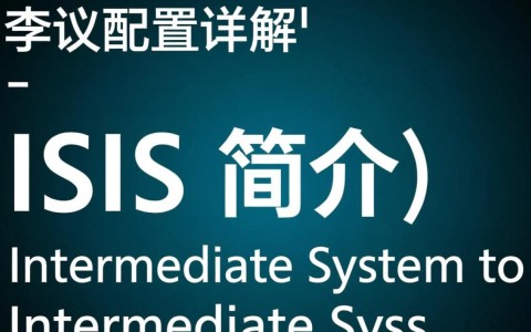 ISIS协议配置中存在哪些常见问题及解决方法？