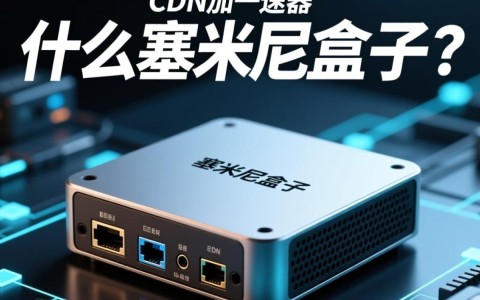 塞米尼盒子用途究竟何在？cdn功能只是其一？揭秘更多用途！