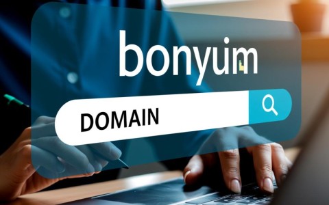 如何精确查询任意域名的所有人信息及详细背景？