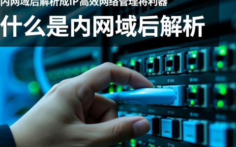 内网域名解析成IP的具体操作步骤是什么？
