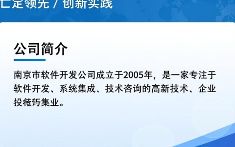 南京哪家软件开发公司技术实力最强，项目口碑如何？