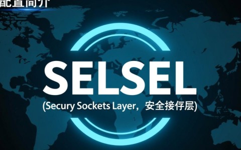 如何正确进行域名配置SSL？常见问题及解决方法揭秘！
