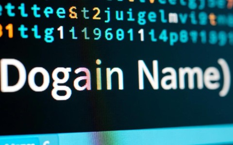 域名究竟长什么样？揭秘互联网地址背后的奥秘！