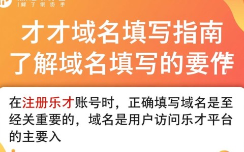 在乐才平台上，如何正确填写和配置域名设置？