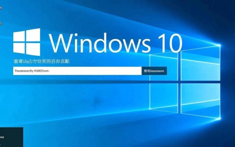 如何高效在Win10系统中查找和查询特定域名信息？