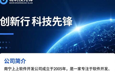 南宁上上软件开发公司，他们的产品如何引领行业创新？