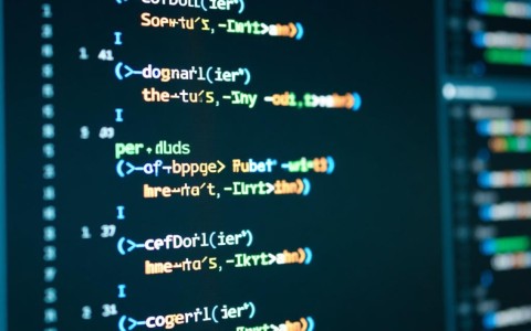 为何软件开发方普遍拒绝公开源代码，这背后有何隐情？