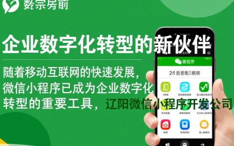 辽阳微信小程序开发公司哪家更专业？如何选择合适的开发服务商？