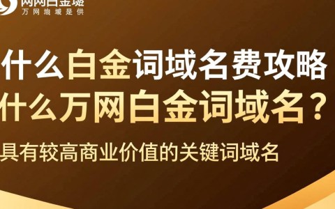 万网白金词域名续费，续费价格和条件有哪些疑问？