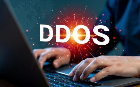 面对DDoS攻击，网站如何迅速恢复与防护策略全解析？
